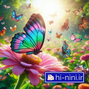دانلود آهنگ پروانه رنگ رنگ زیبا (به همراه متن)